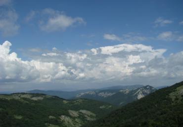 IMG_2333-1