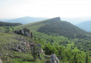 img-0650