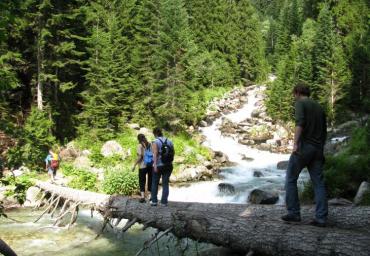 img-0244