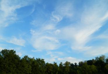 DSCN0126