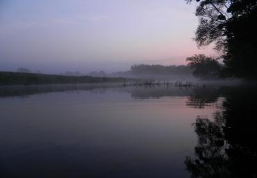 DSCN0374