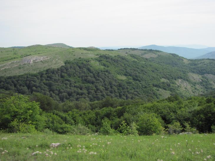 img-0594